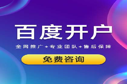 SEM服务案例：打造行业领先品牌